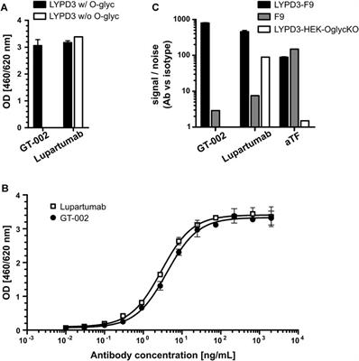 Targeting a cancer-specific LYPD3 glycoform for tumor therapy